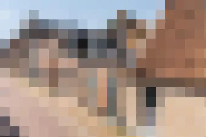 Anjelierstraat 15 Dokkum thumbnail 42