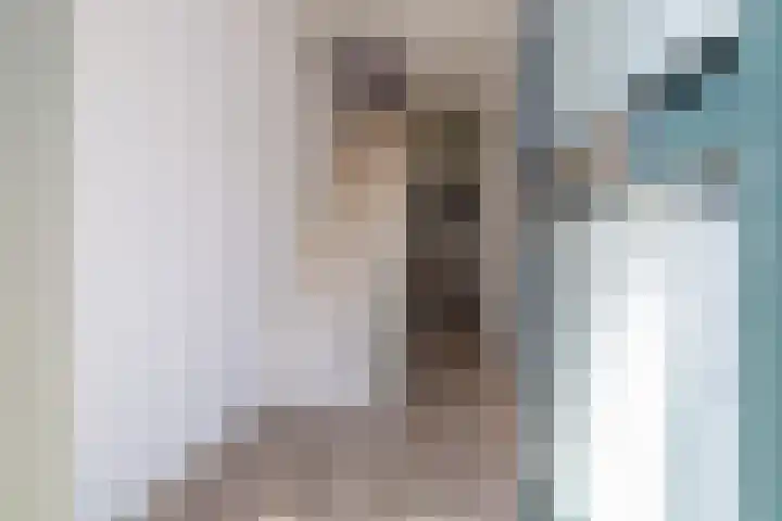 Anjelierstraat 15 Dokkum thumbnail 5