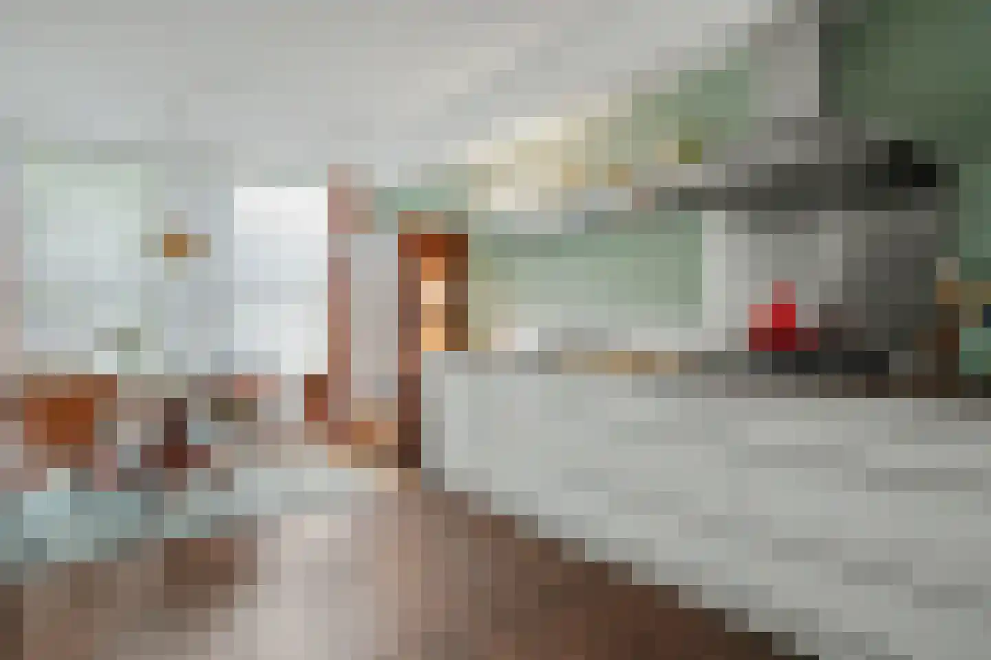 Anjelierstraat 15 Goes thumbnail 10