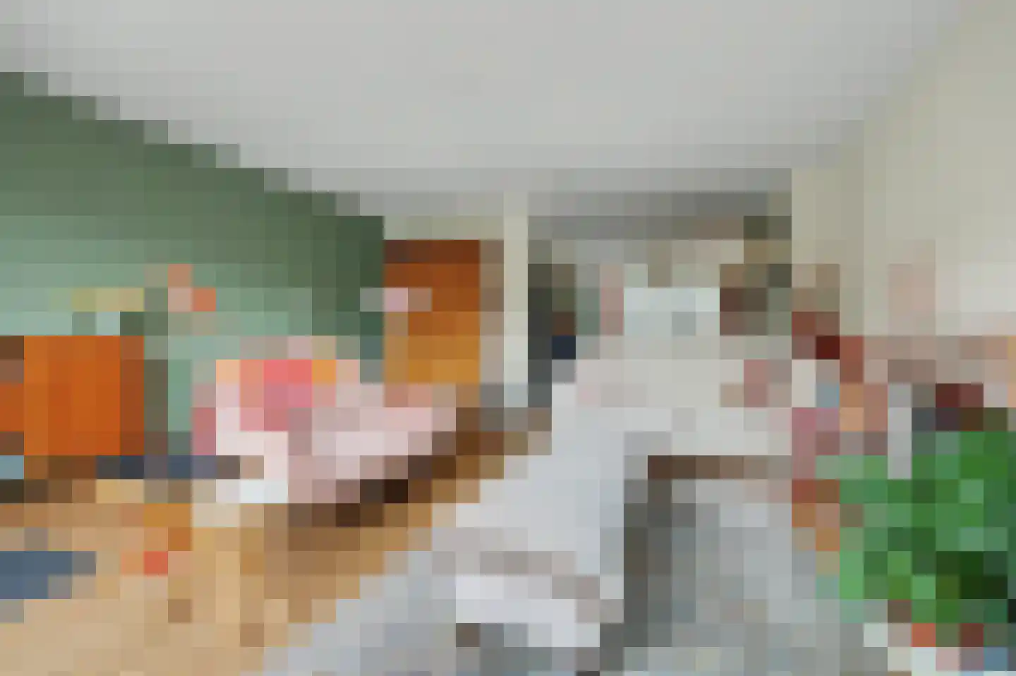 Anjelierstraat 15 Goes thumbnail 17