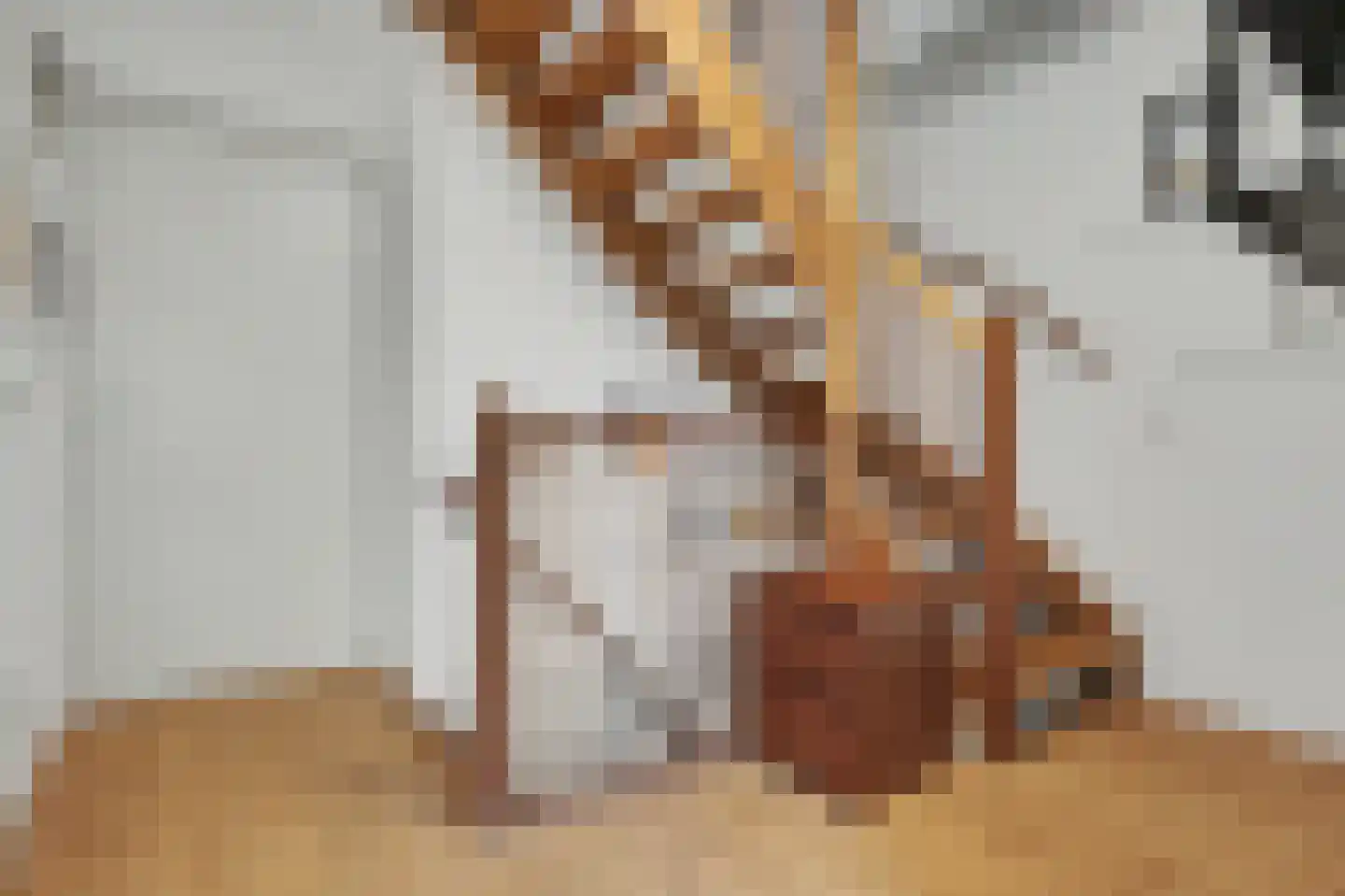 Anjelierstraat 15 Goes thumbnail 18