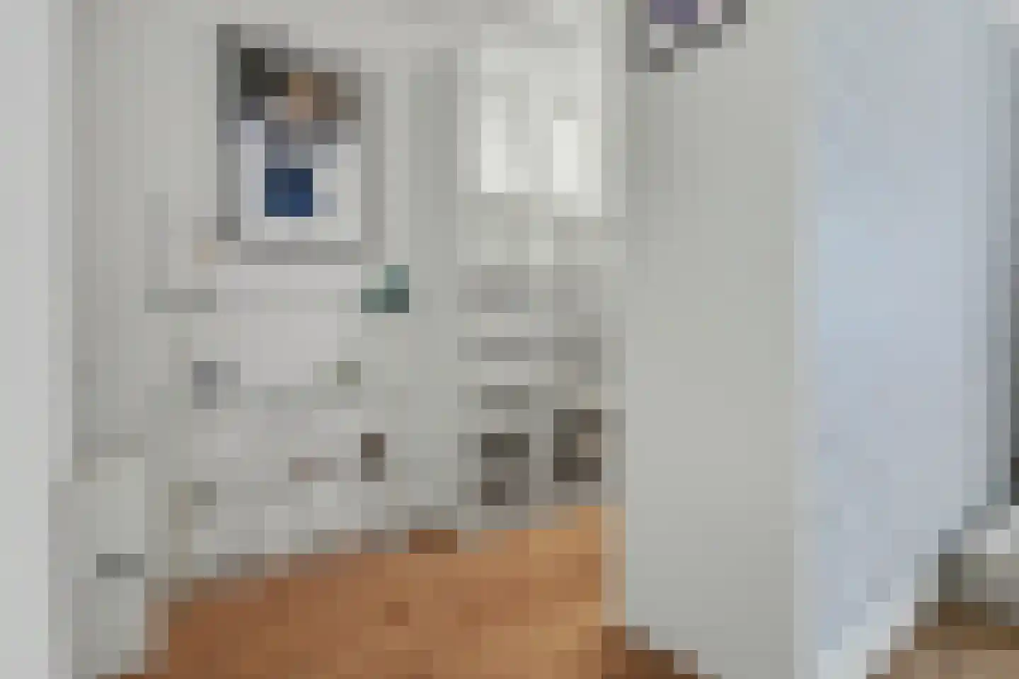 Anjelierstraat 15 Goes thumbnail 21