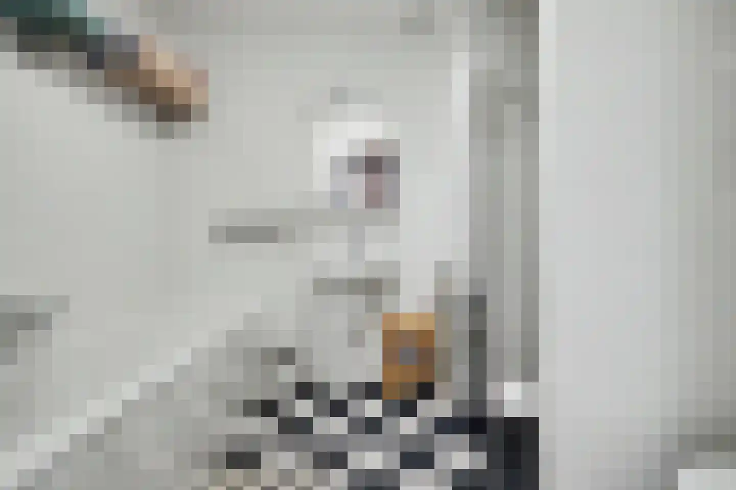 Anjelierstraat 15 Goes thumbnail 26