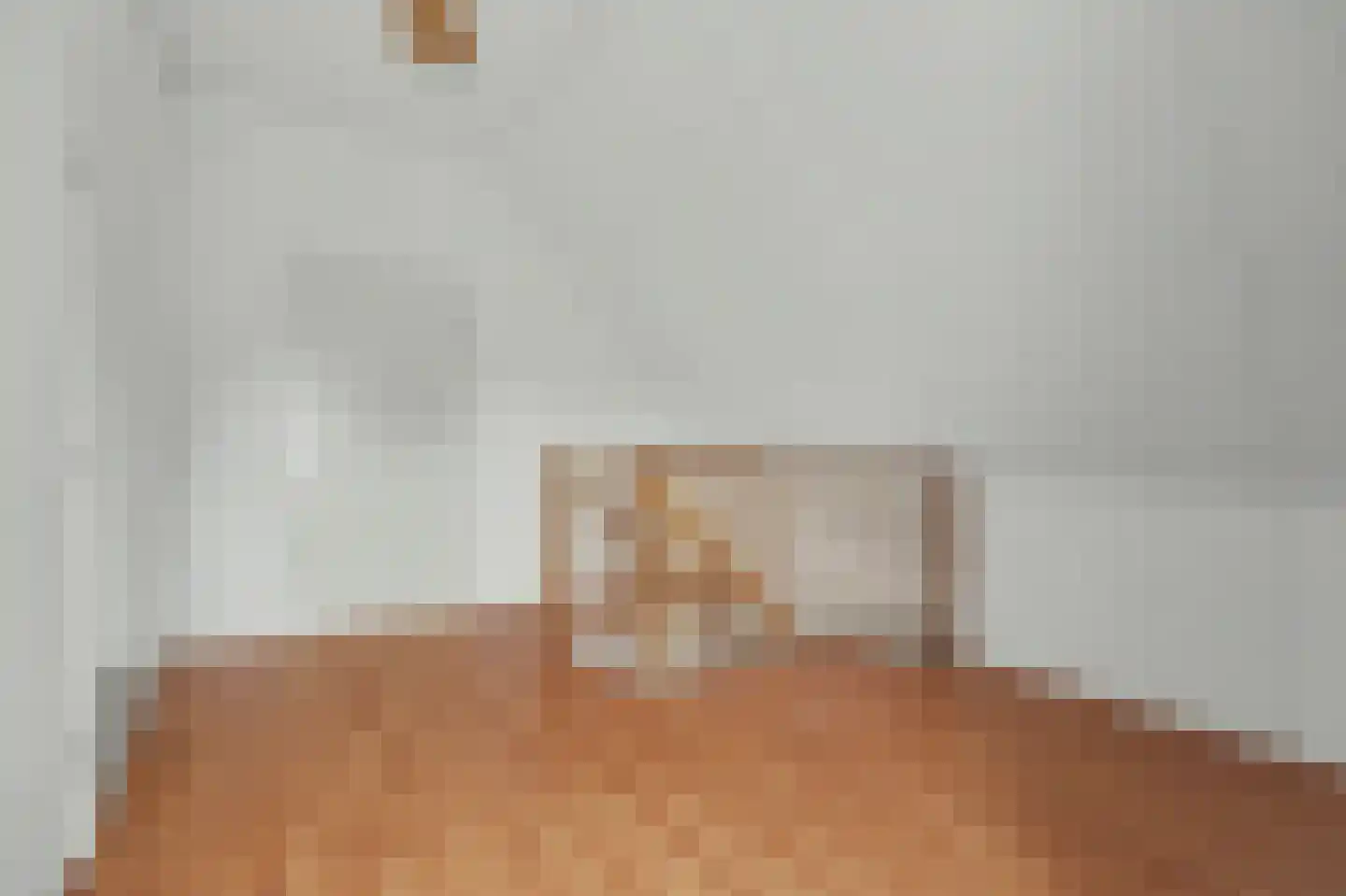 Anjelierstraat 15 Goes thumbnail 28
