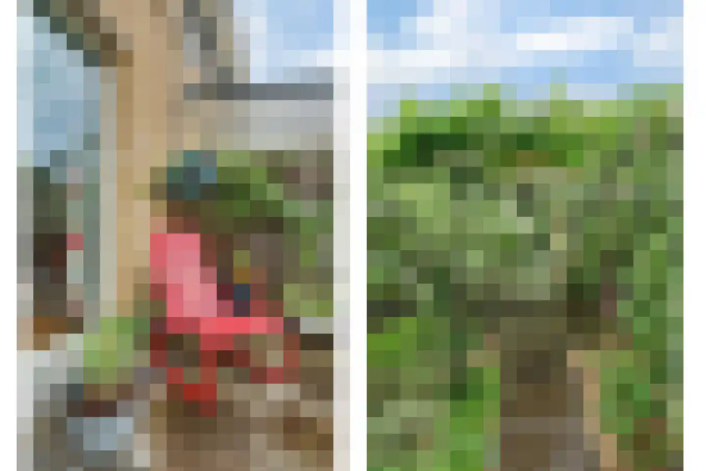 Anjelierstraat 15 Goes thumbnail 33