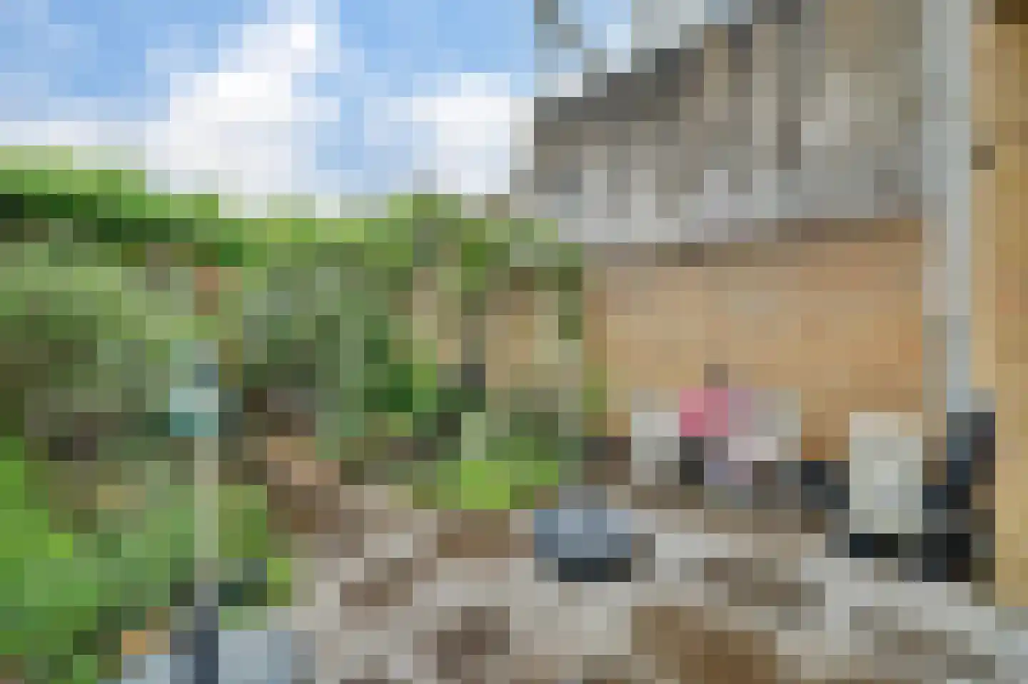 Anjelierstraat 15 Goes thumbnail 34