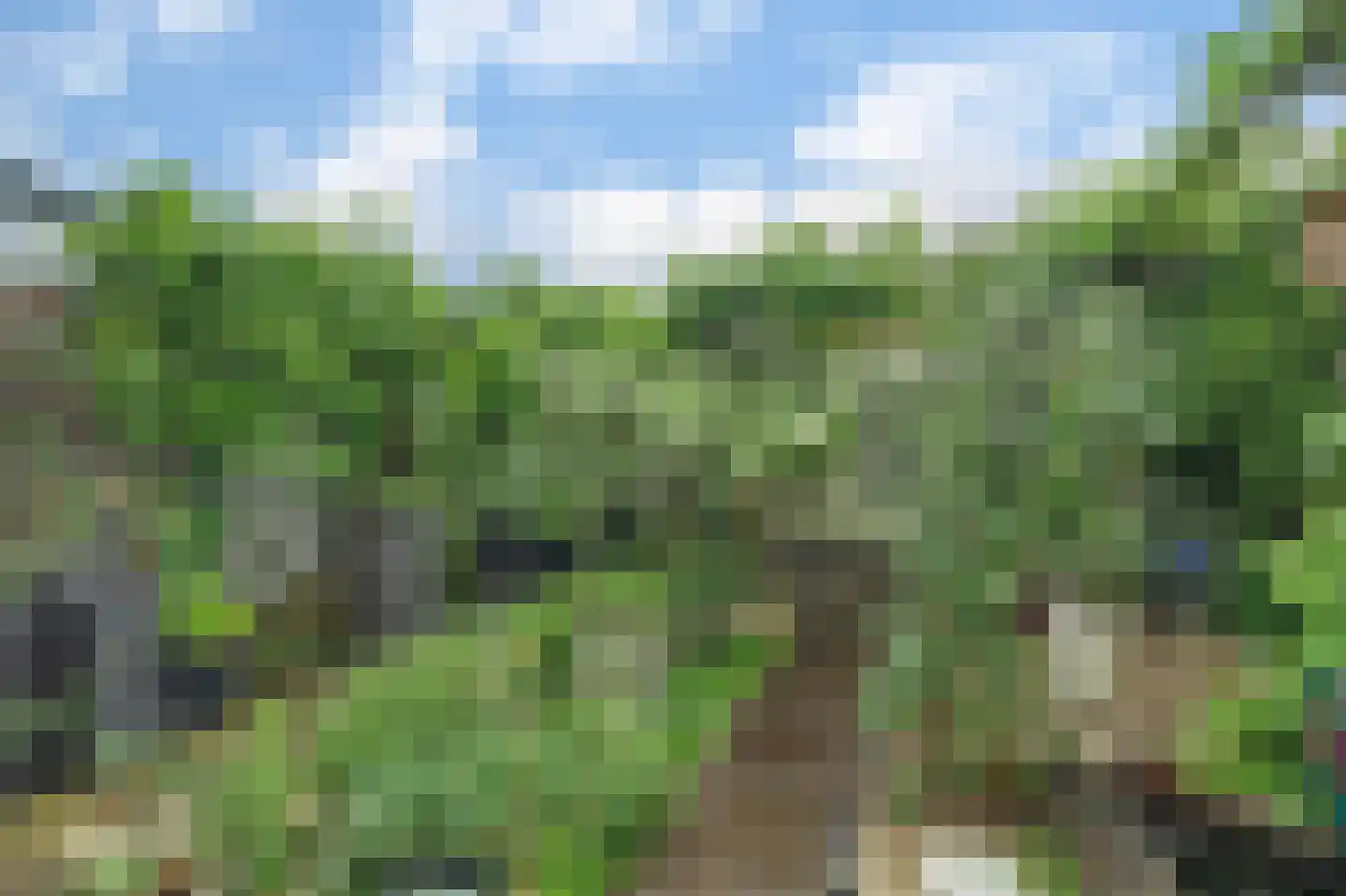 Anjelierstraat 15 Goes thumbnail 36