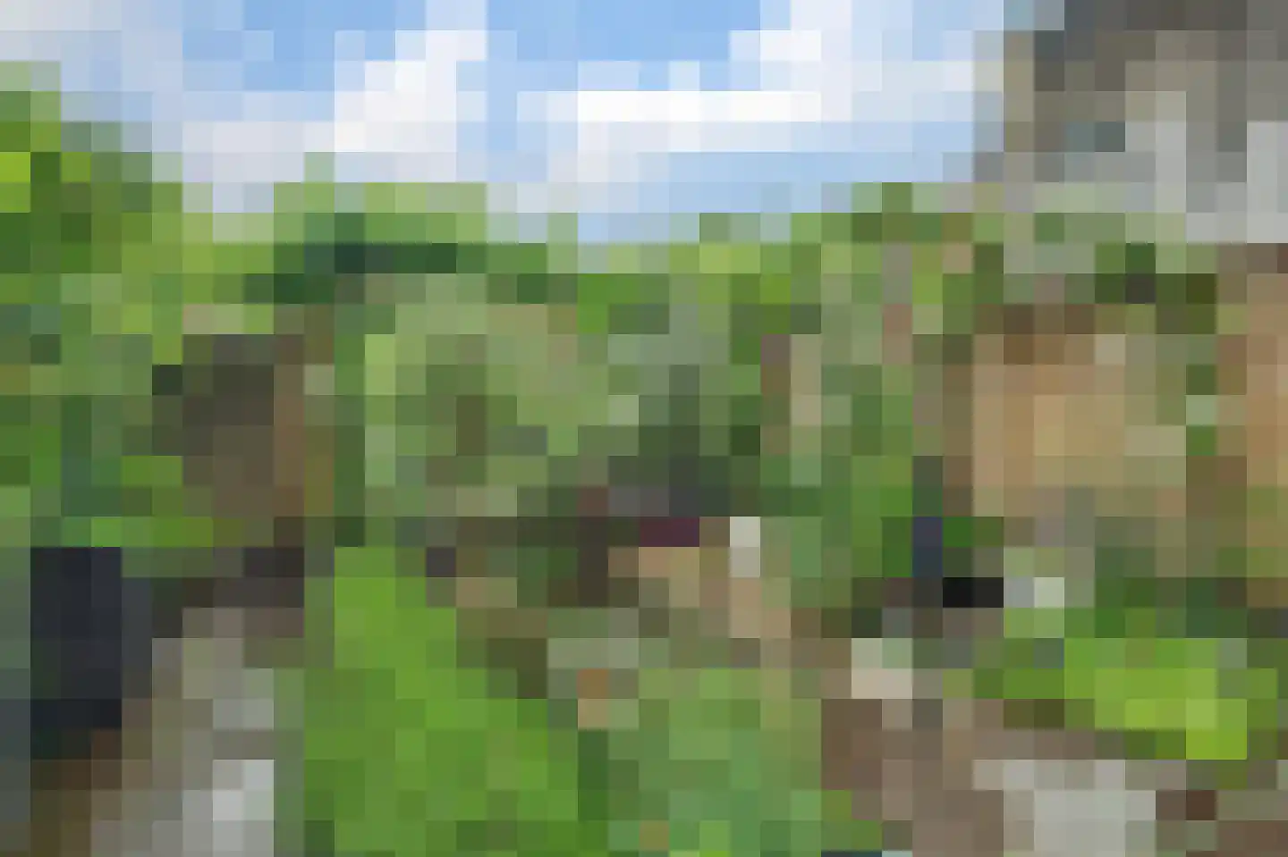 Anjelierstraat 15 Goes thumbnail 37