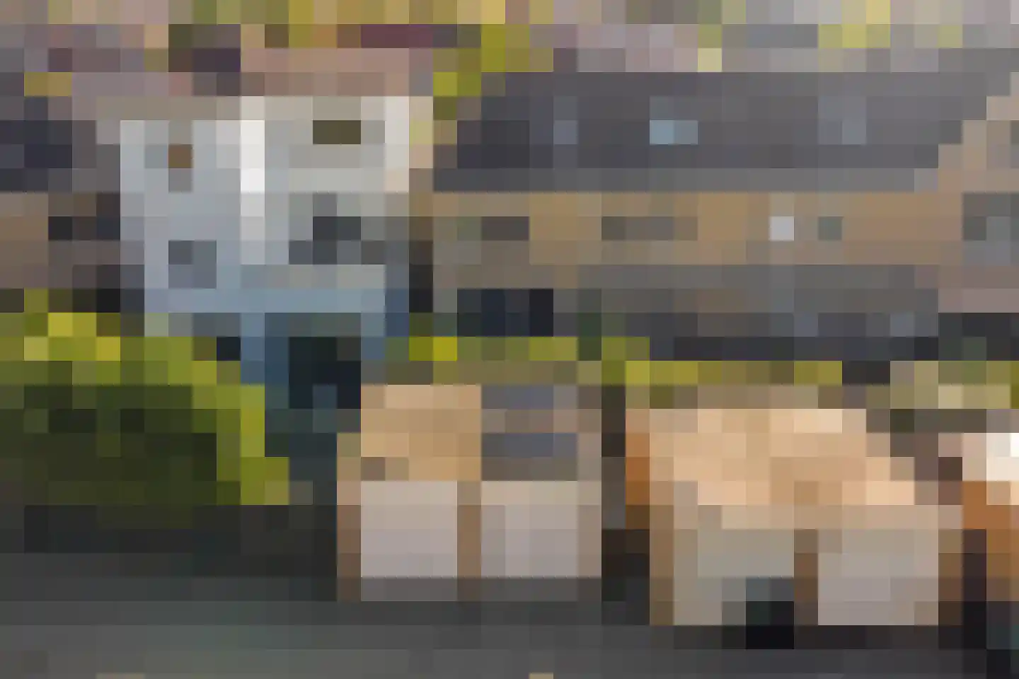 Anjelierstraat 15 Goes thumbnail 47