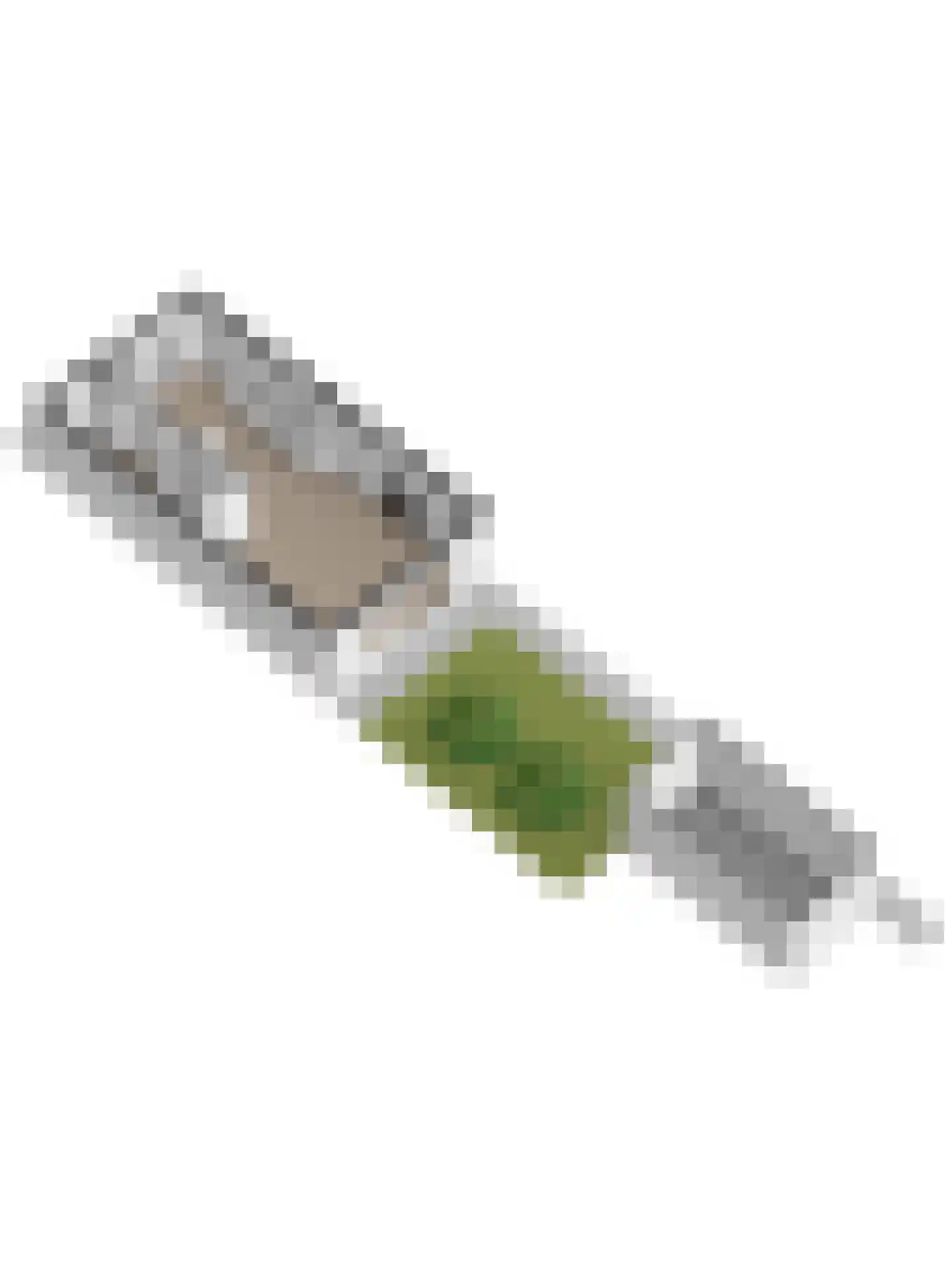 Anjelierstraat 15 Goes thumbnail 60