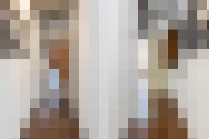 Anjelierstraat 18 Zwolle thumbnail 11
