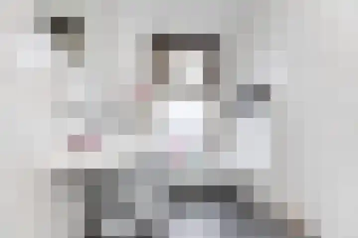 Anjelierstraat 18 Zwolle thumbnail 18