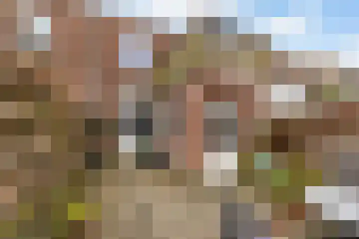 Anjelierstraat 18 Zwolle thumbnail 20