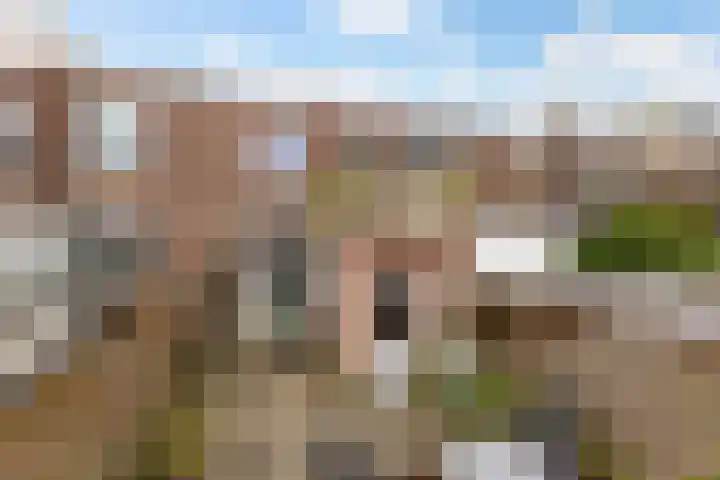 Anjelierstraat 18 Zwolle thumbnail 21