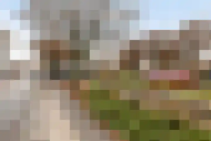 Anjelierstraat 18 Zwolle thumbnail 7