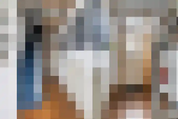 Anjelierstraat 18 Zwolle thumbnail 8