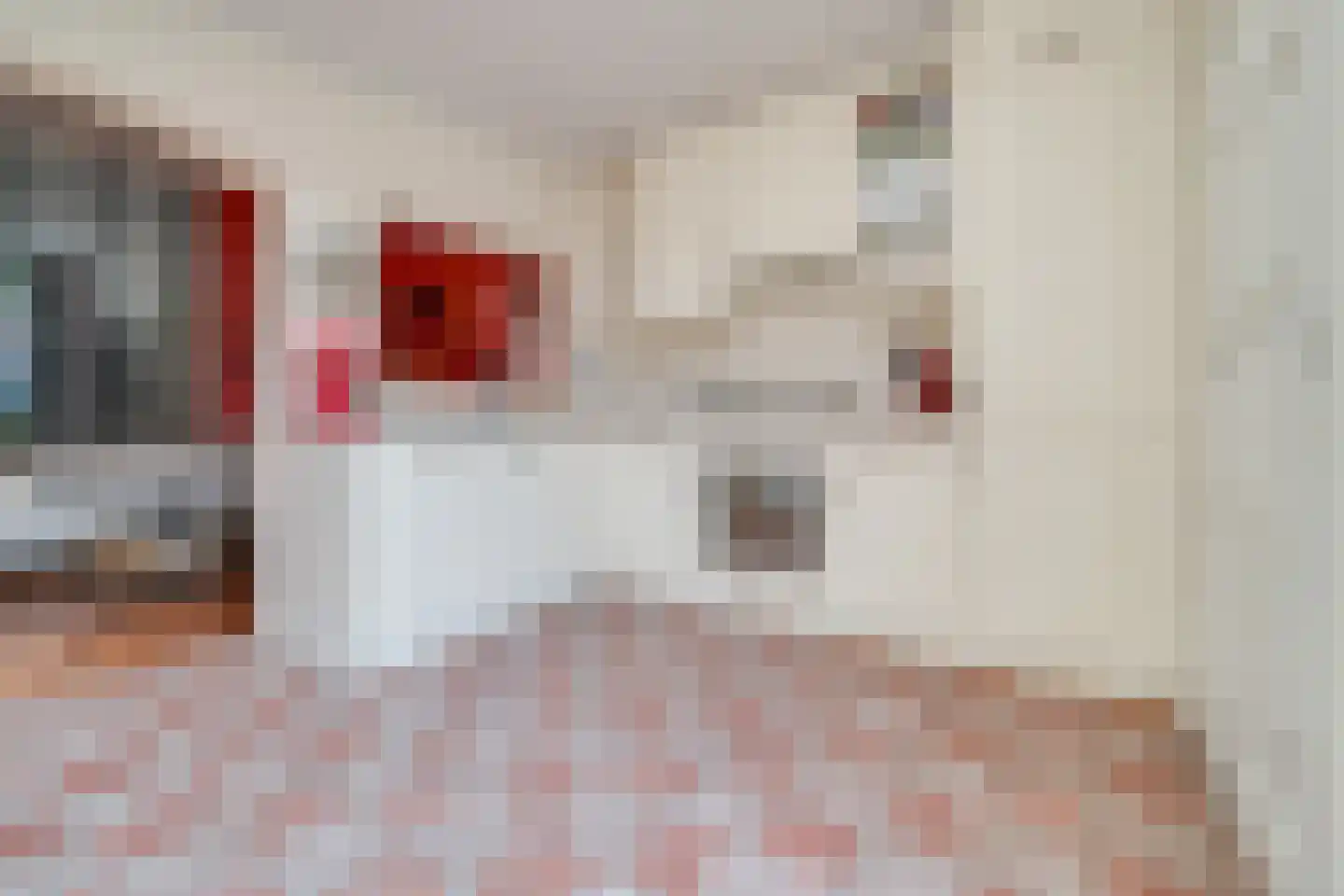 Anjelierstraat 19 Utrecht thumbnail 16