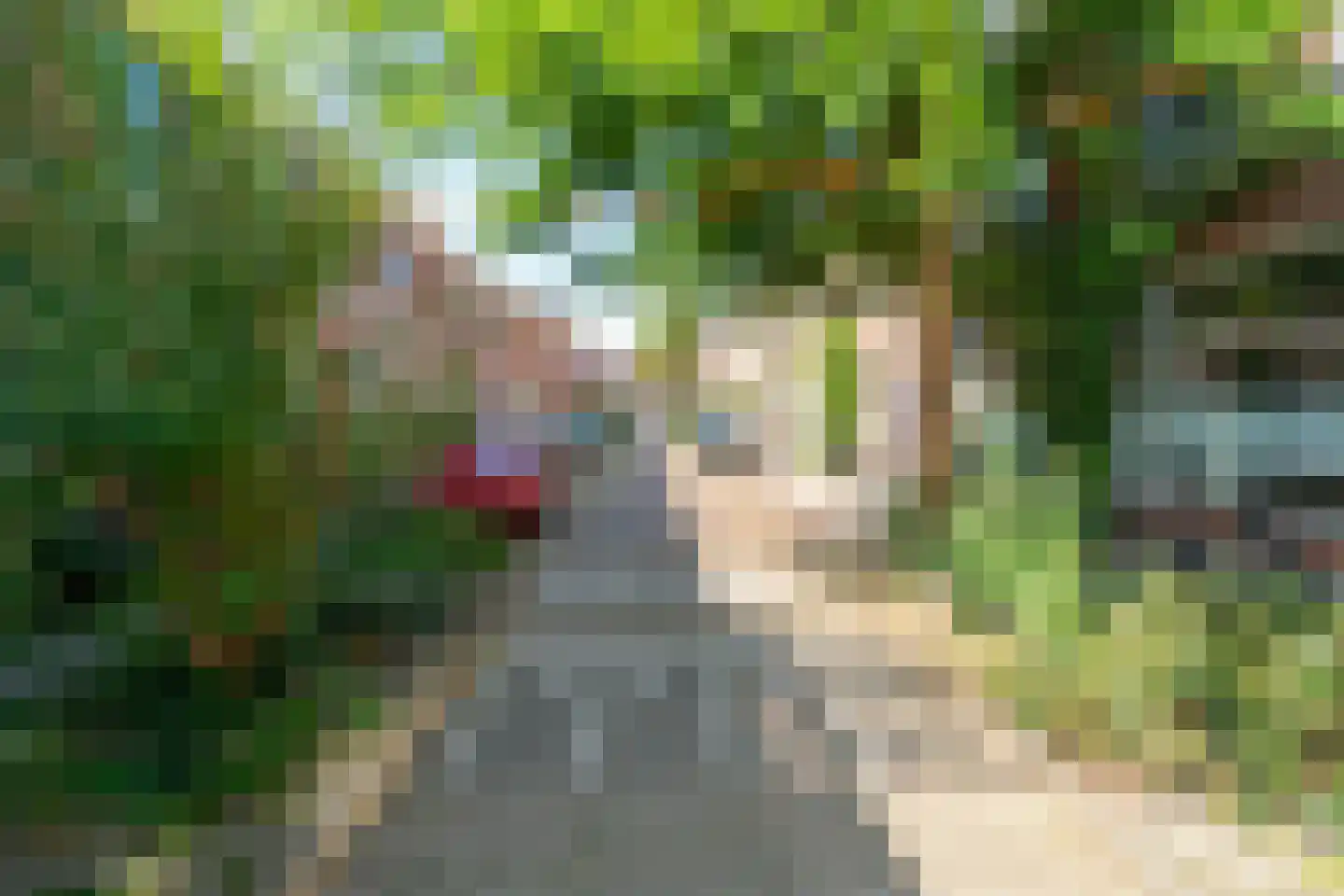 Anjelierstraat 19 Utrecht thumbnail 36