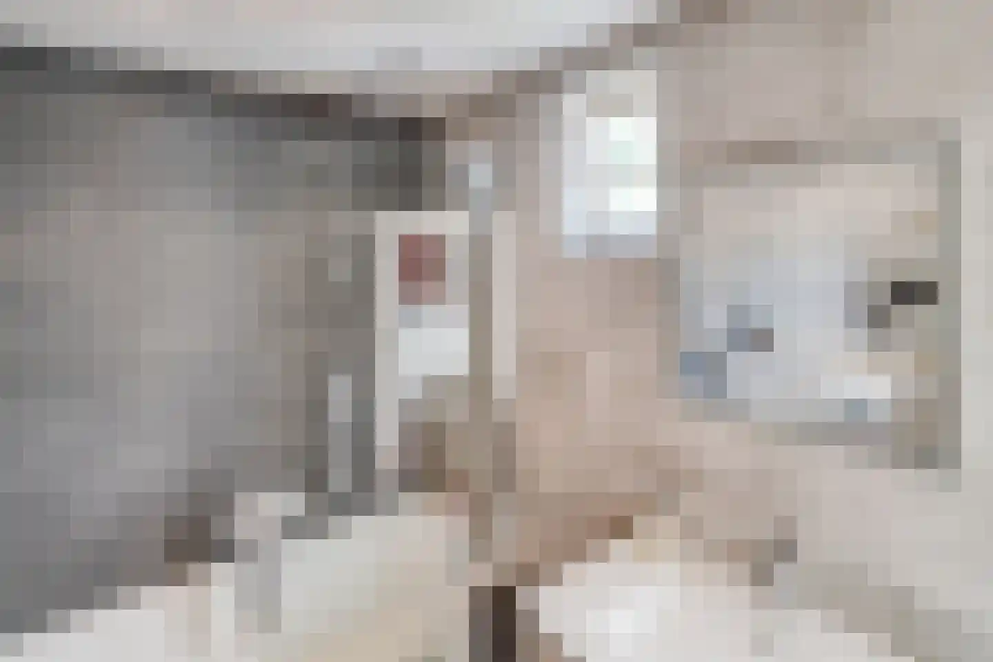 Anjelierstraat 19 Utrecht thumbnail 4