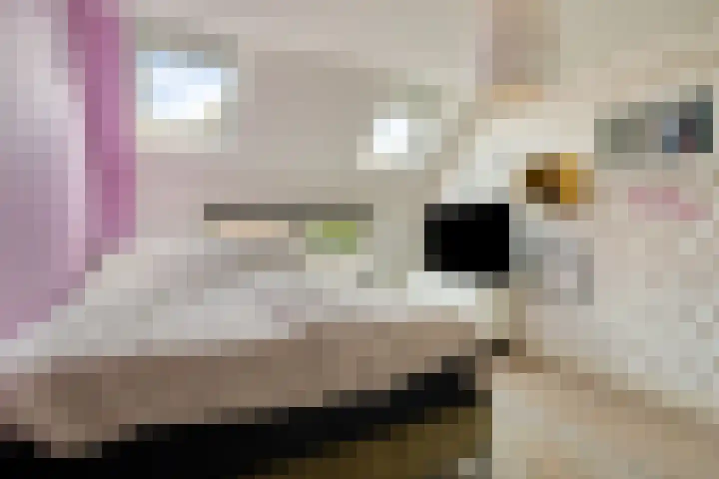 Anjelierstraat 2 Breda thumbnail 12