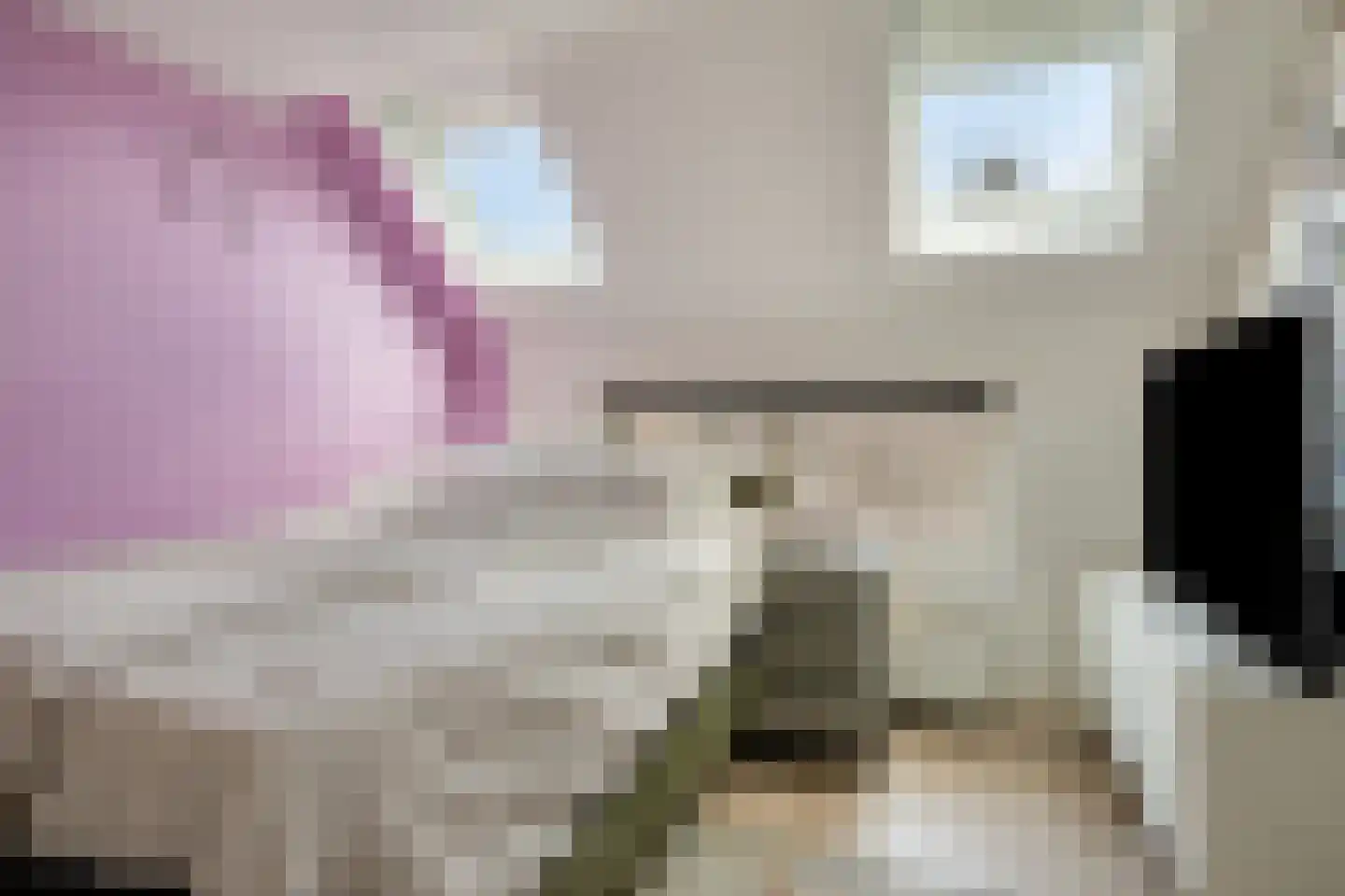 Anjelierstraat 2 Breda thumbnail 13