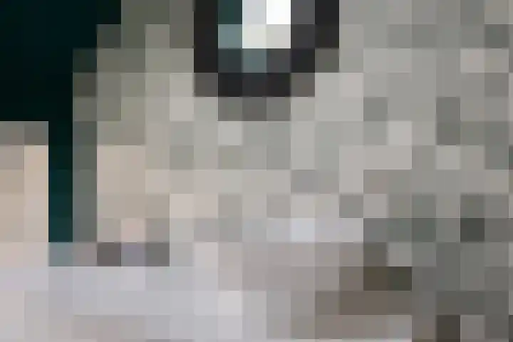 Anjelierstraat 2 Breda thumbnail 20