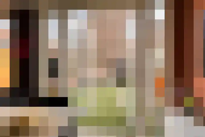 Anjelierstraat 2 Breda thumbnail 27