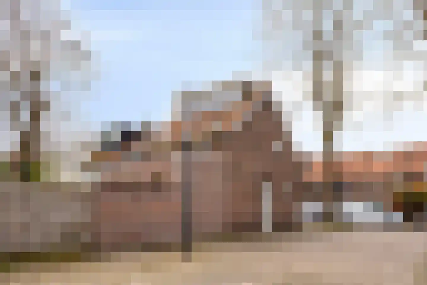Anjelierstraat 2 Breda thumbnail 29