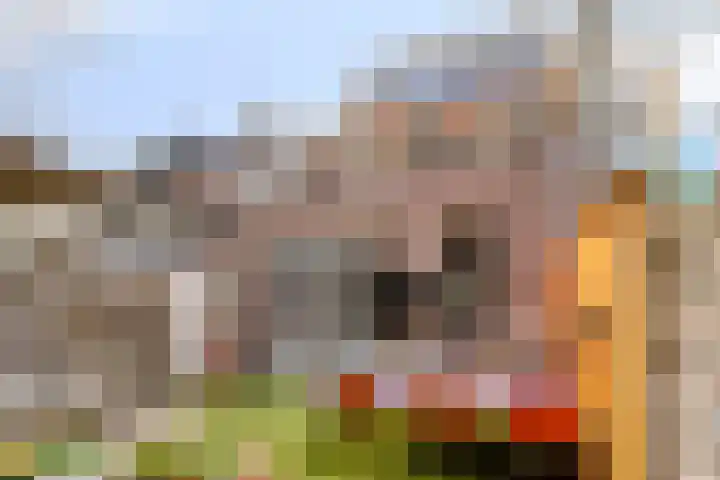 Anjelierstraat 2 Breda thumbnail 30
