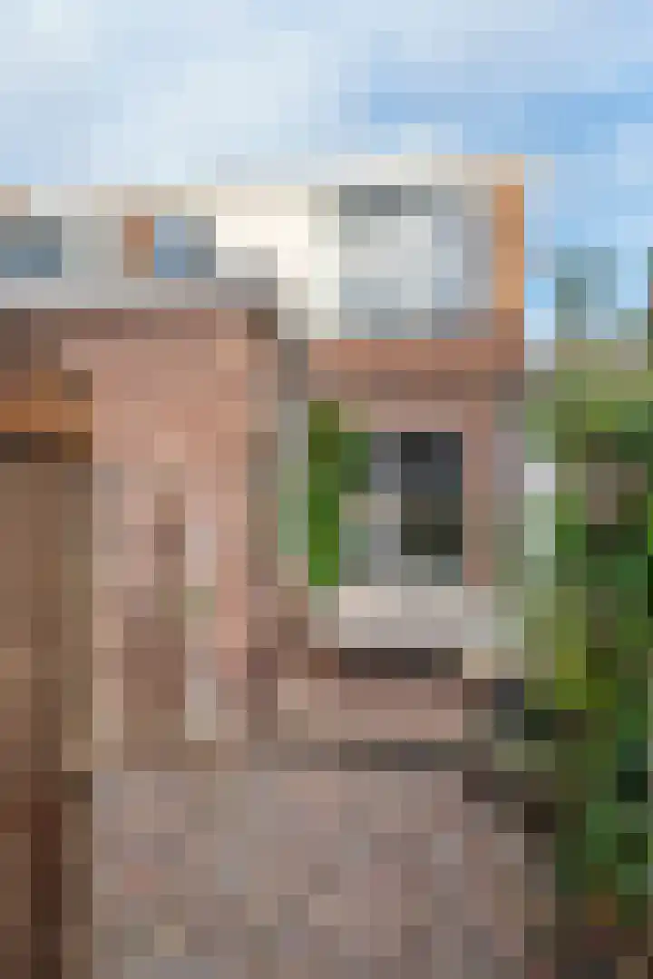 Anjelierstraat 2 Culemborg thumbnail 11