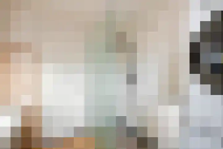 Anjelierstraat 2 Culemborg thumbnail 35
