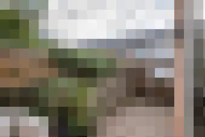 Anjelierstraat 2 Culemborg thumbnail 4