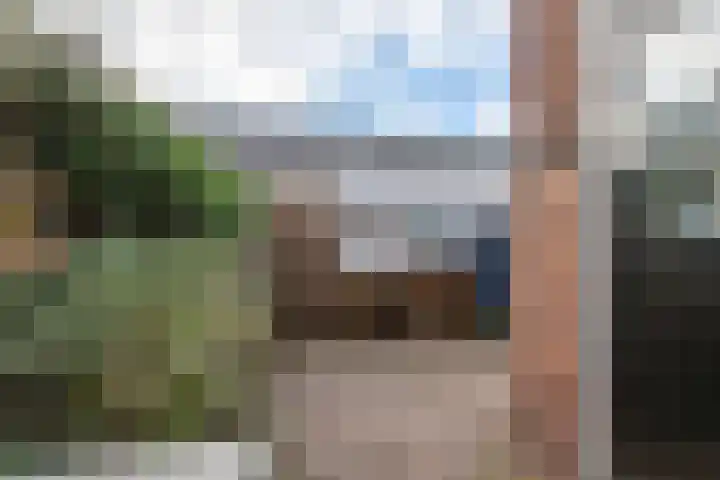 Anjelierstraat 2 Culemborg thumbnail 5
