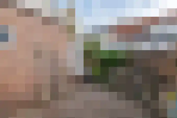 Anjelierstraat 2 Culemborg thumbnail 6