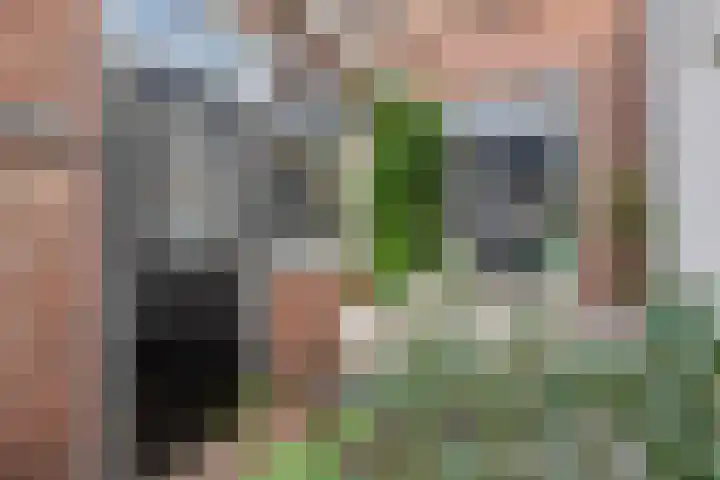 Anjelierstraat 2 Culemborg thumbnail 8