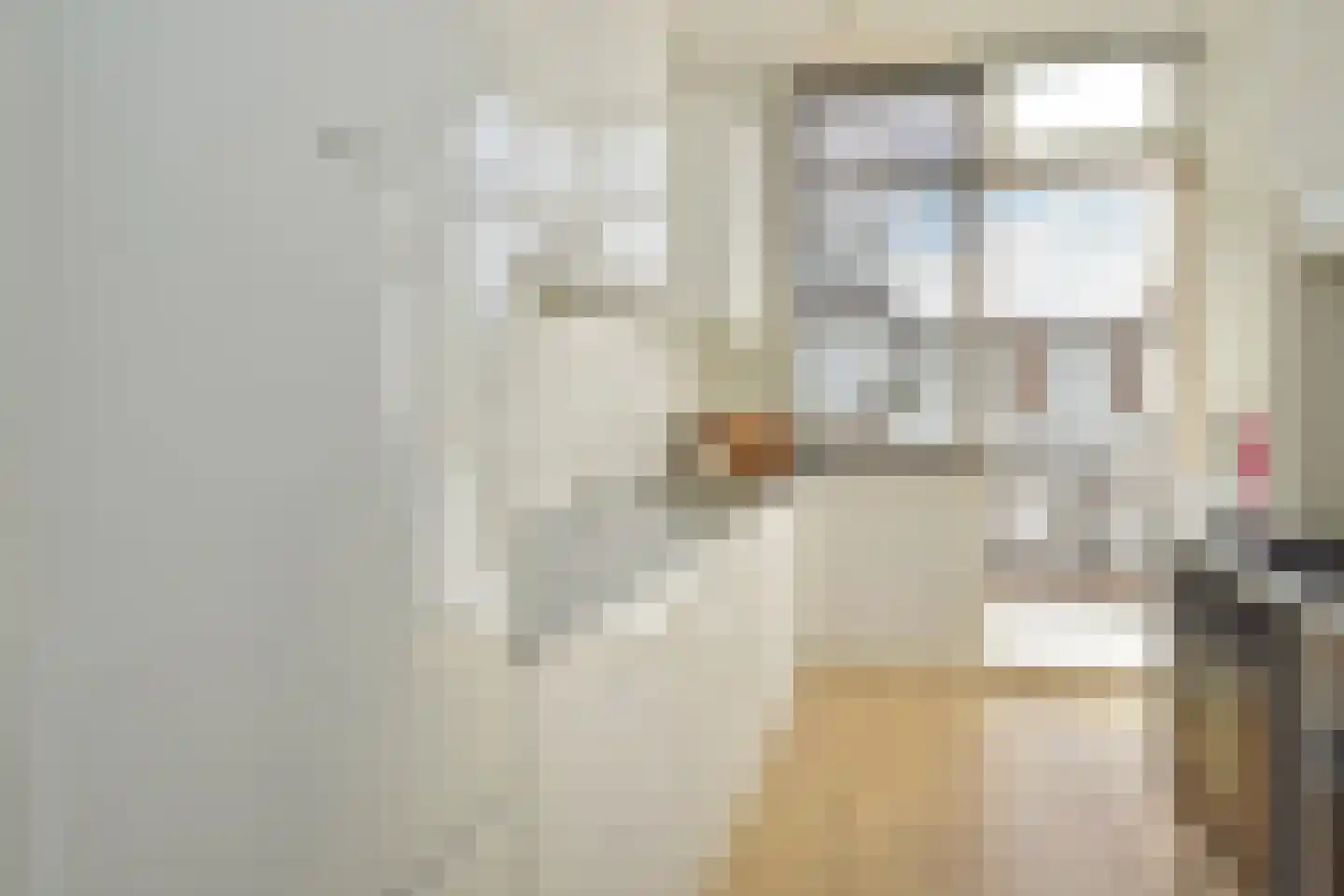 Anjelierstraat 2 Den Haag thumbnail 21