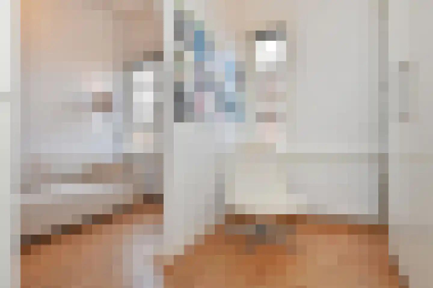 Anjelierstraat 2 Den Haag thumbnail 31