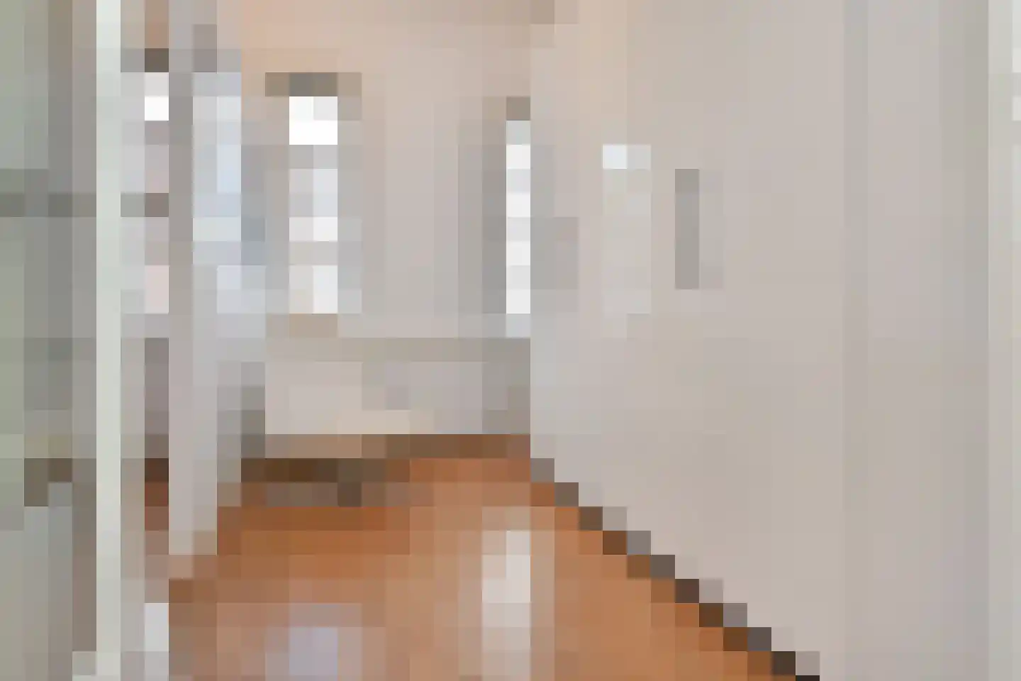 Anjelierstraat 2 Den Haag thumbnail 32