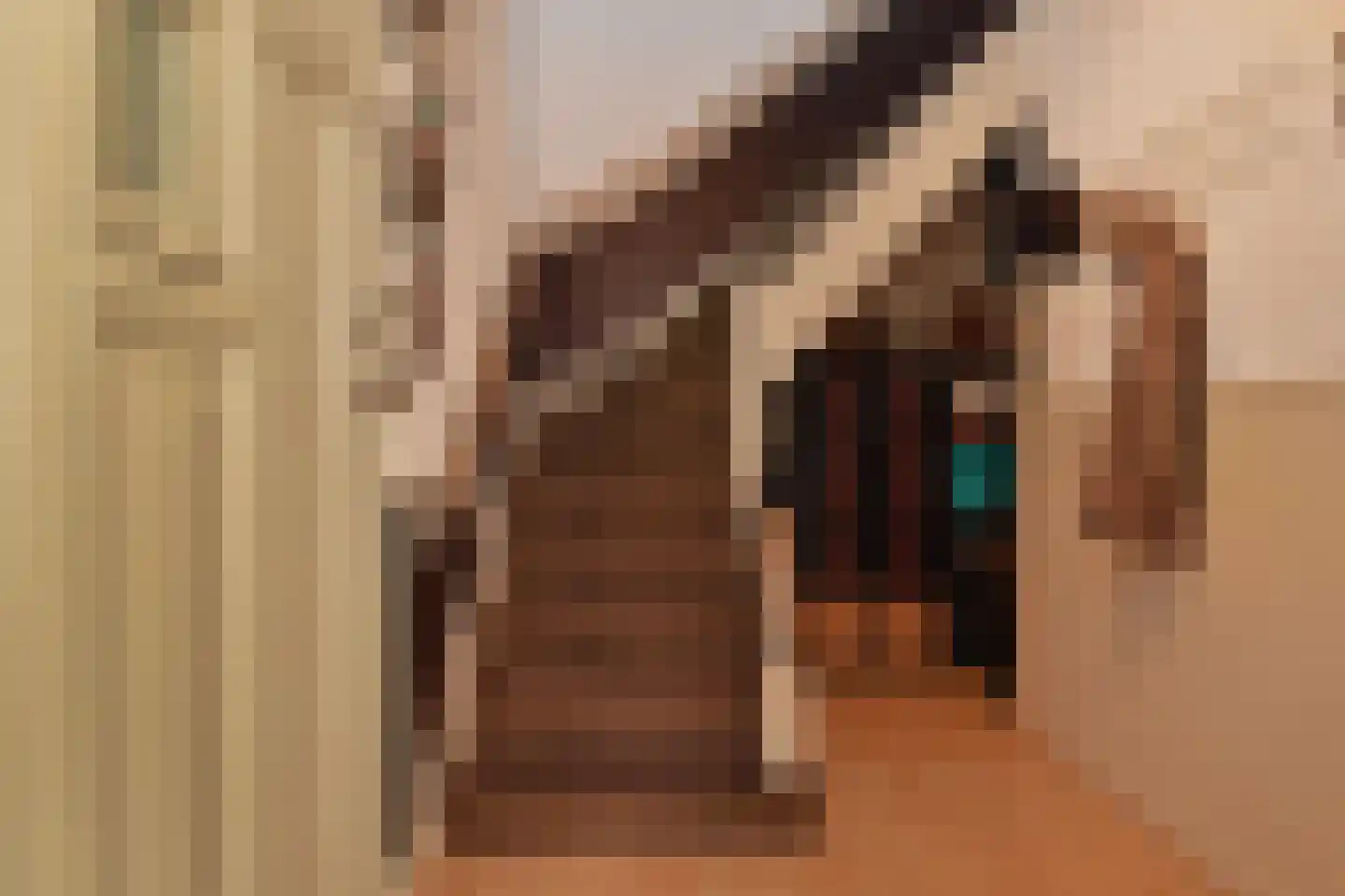 Anjelierstraat 2 Den Haag thumbnail 5