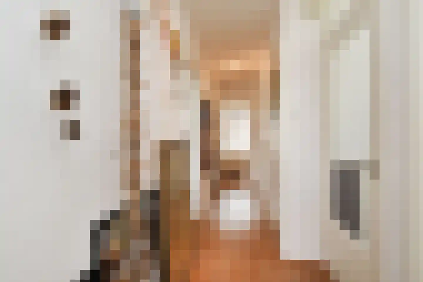 Anjelierstraat 2 Den Haag thumbnail 6