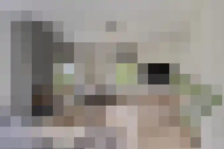 Anjelierstraat 2 E Heerenveen thumbnail 10