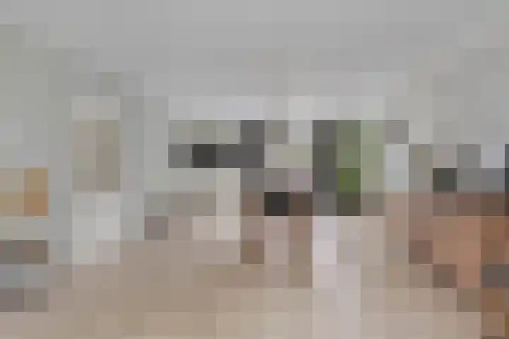 Anjelierstraat 2 E Heerenveen thumbnail 11