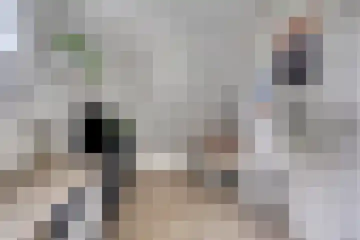 Anjelierstraat 2 E Heerenveen thumbnail 21