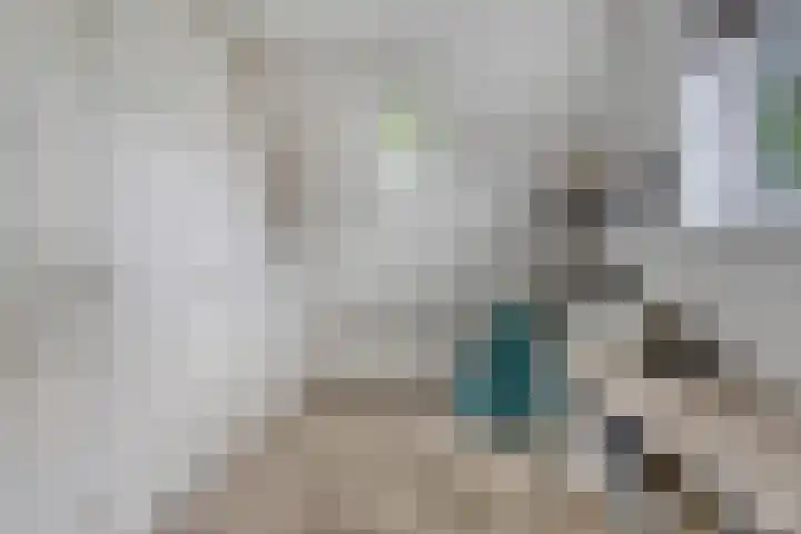 Anjelierstraat 2 E Heerenveen thumbnail 22