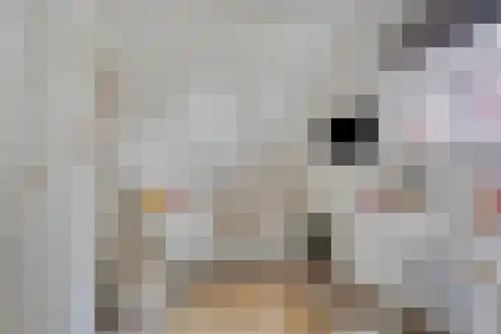 Anjelierstraat 2 E Heerenveen thumbnail 23