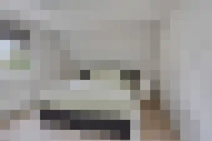 Anjelierstraat 2 E Heerenveen thumbnail 27