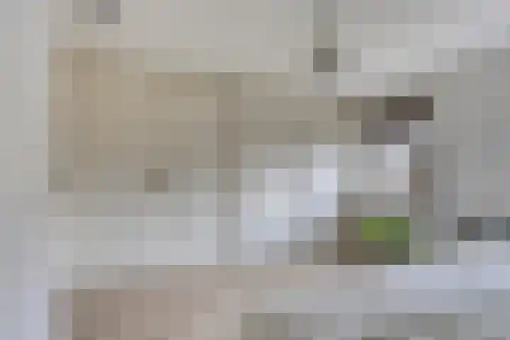 Anjelierstraat 2 E Heerenveen thumbnail 28