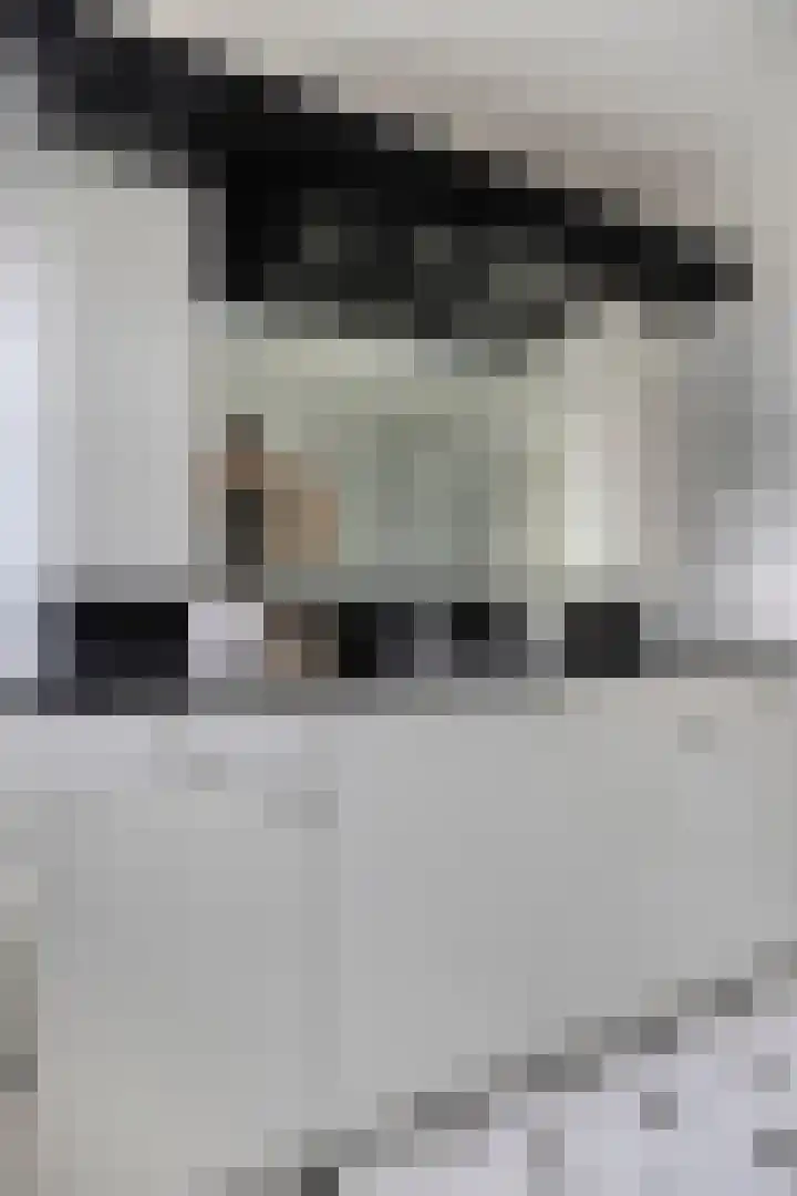 Anjelierstraat 2 E Heerenveen thumbnail 30