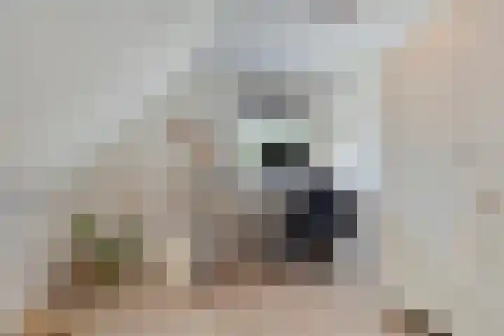 Anjelierstraat 2 E Heerenveen thumbnail 32