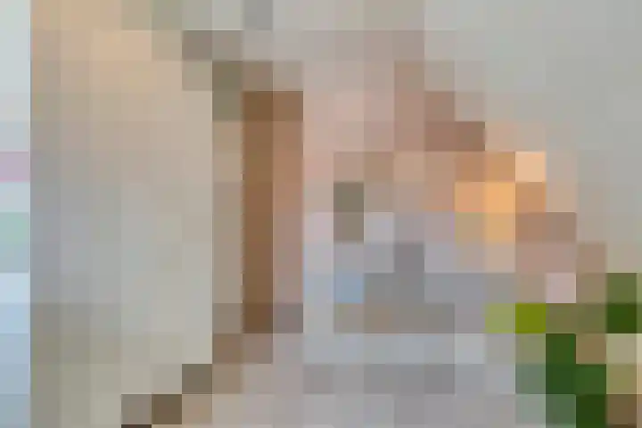 Anjelierstraat 2 E Heerenveen thumbnail 33